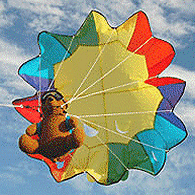 Parachute Ted